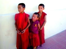 Young monks at the Diskit Monastery, some of them come all the way from Tibet to learn here